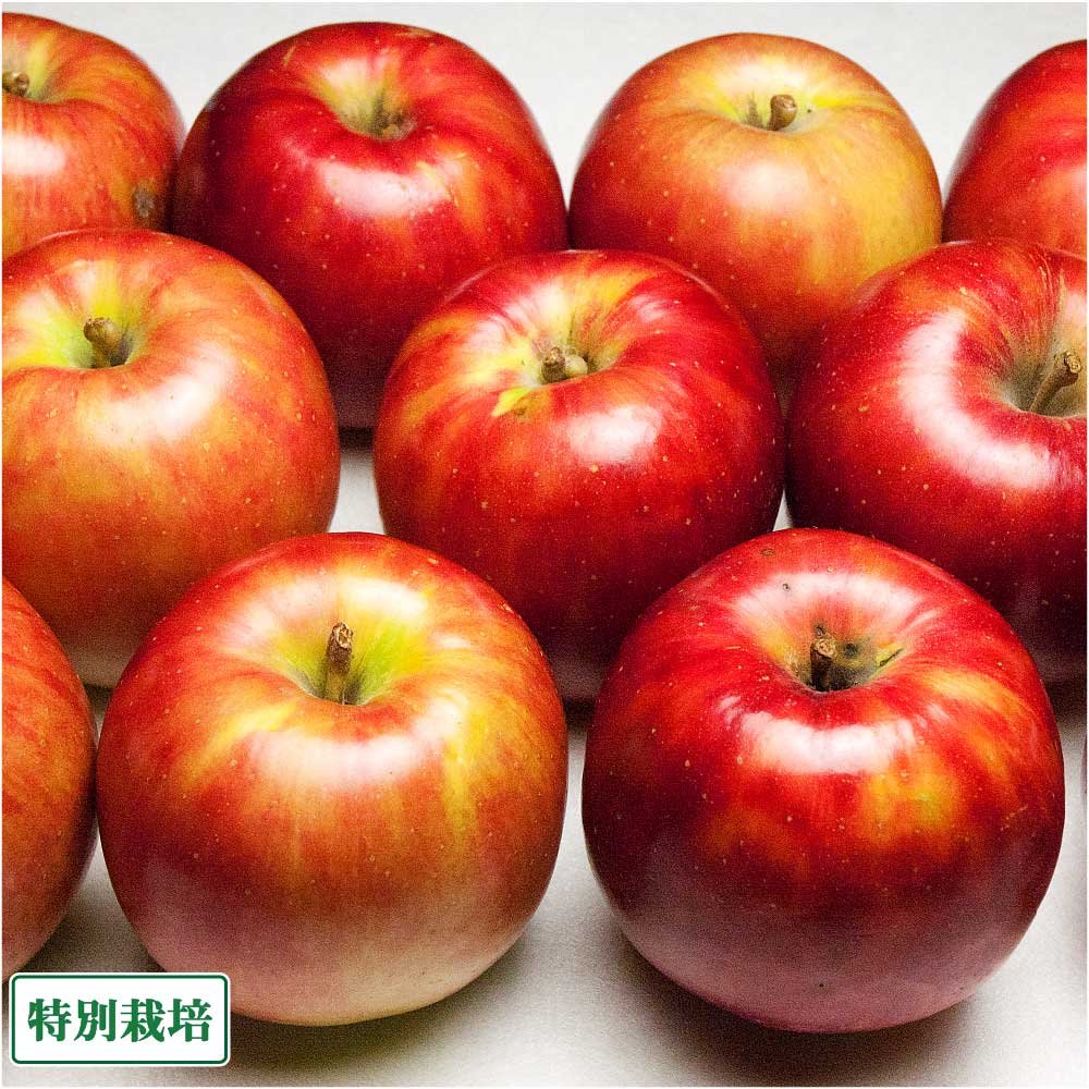 商品画像1