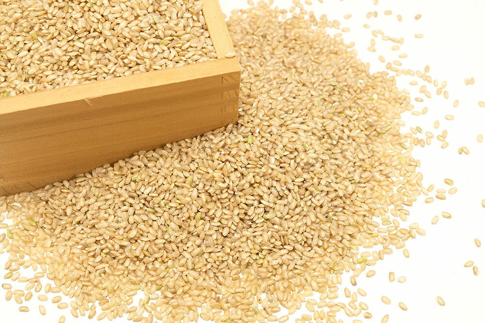 化学合成された農薬、肥料を一切使用しない 有機 無農薬 米 20kg が 送料無料　【11月はP10倍★要エントリー】【令和7年度産】金のいぶき 玄米 20kg 有機JAS 自然農法 (宮城県 仙台たんの農園) 産地直送