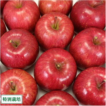 【セール・小玉】サンふじ 秀品 5kg 特別栽培 (青森県 阿部農園) 産地直送