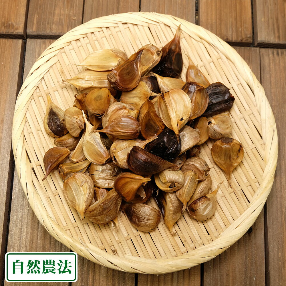 田子の有機黒にんにく 500g 有機JAS・自然農法 (青森県 やまもと農産) 産地直送