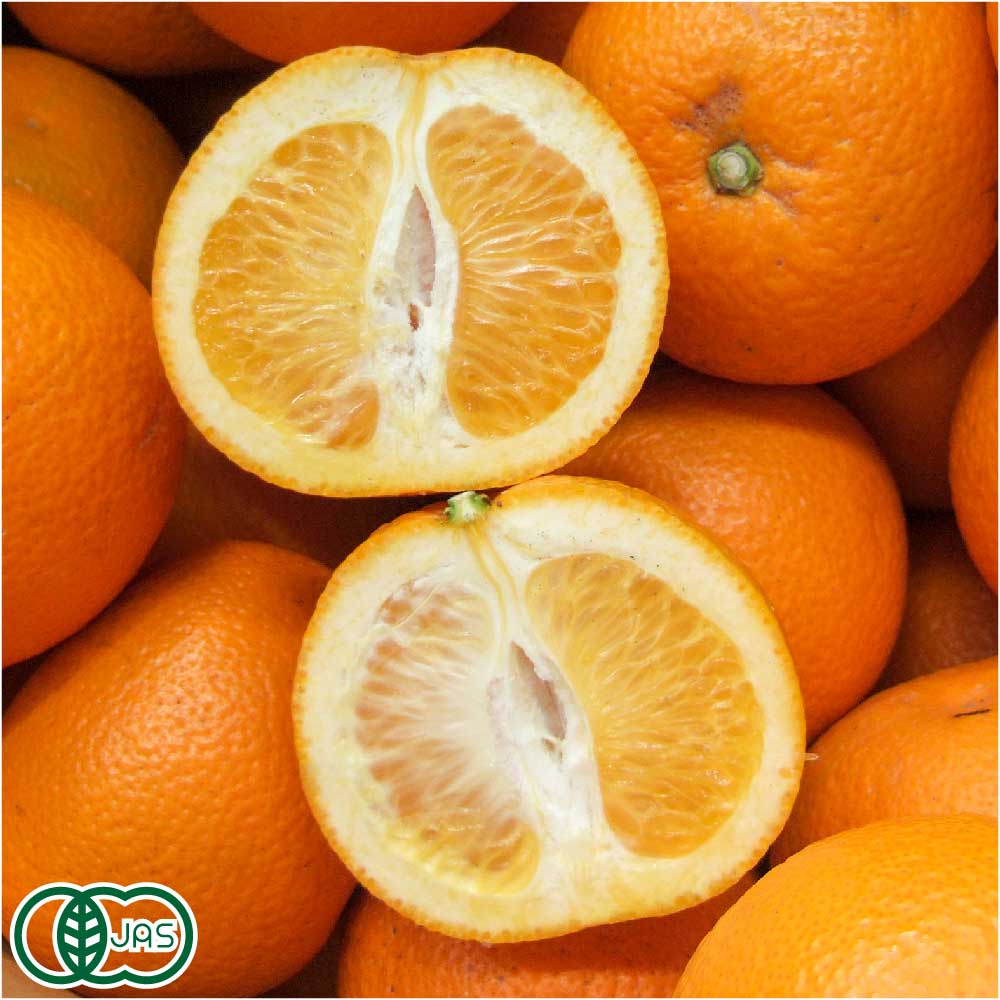 ��B�ʡ�������� ͭ�� �Ϥä��� 3kg ͭ��JAS (���츩 ��ƣ����) ����ľ��