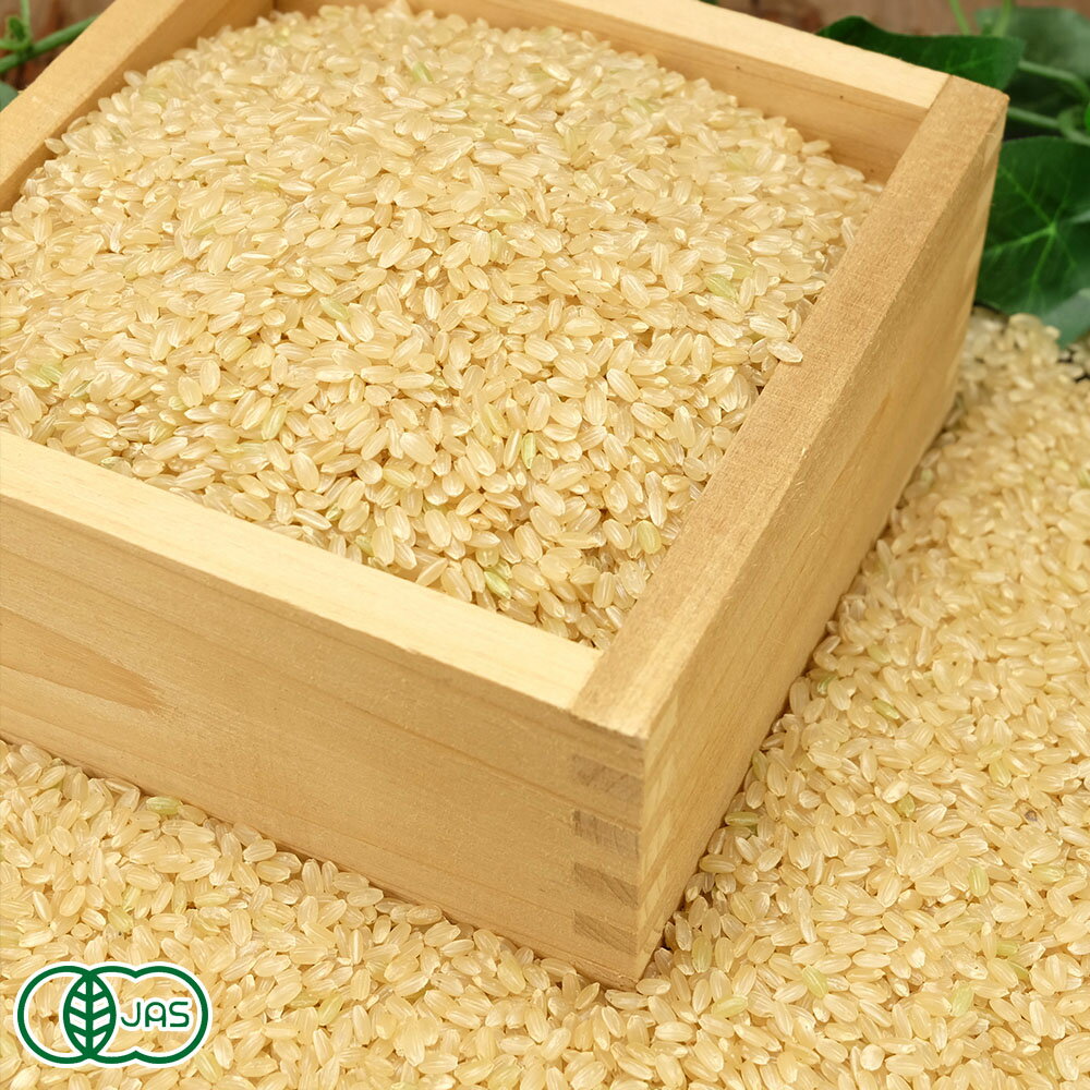 【12月はP10倍★要エントリー】【令和7年度産】 銀河のしずく 玄米 20kg 有機JAS (岩手県 いわて大東有機) 産地直送