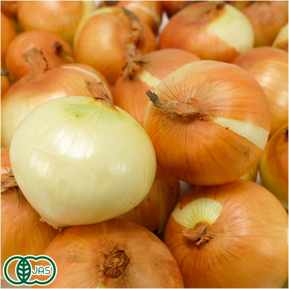 【セール】【B品】 有機 玉ねぎ 10kg 有機JAS (北海道 はるか農園) 産地直送