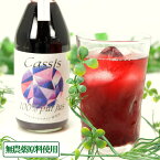 カシス果汁100%ストレートジュース 250ml×2本 無農薬原料・無添加 (青森県 あおもりカシススタイル研究所) 産地直送