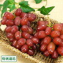 【予約・8月中旬頃・クール便】クイーンセブン(種無し) 約1kg 特別栽培 (宮城県 後藤ぶどう園) 産地直送