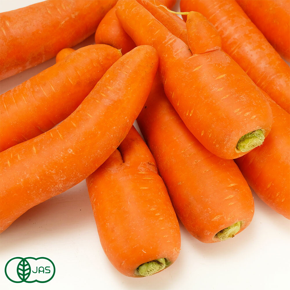【11月はP10倍★要エントリー】【セール・B品・訳あり】有機北海道にんじん(洗い) 10kg 有機JAS (北海道..