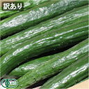 【訳あり・クール便】 有機 きゅうり 3kg 有機JAS (青森県 あおぞら農園) 産地直送