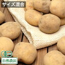 【サイズ混合】 有機じゃがいも とうや 10kg 有機JAS 自然農法 (北海道 はるか農園) 産地直送 ジャガイモ