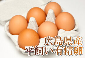 平飼い有精卵　6個×6パック(広島県　はやしなちゅらるふぁーむ)送料無料・産地直送・健康たまご