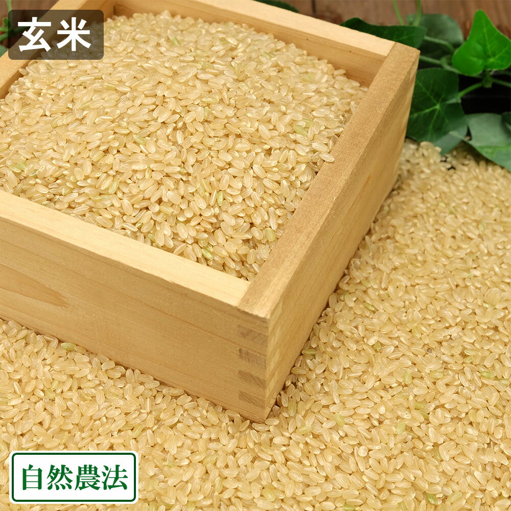 【11月はP10倍★要エントリー】【令和7年度産】もち米(こがねもち) 玄米 2kg 自然農法 (山形県 佐藤農園) 産地直送