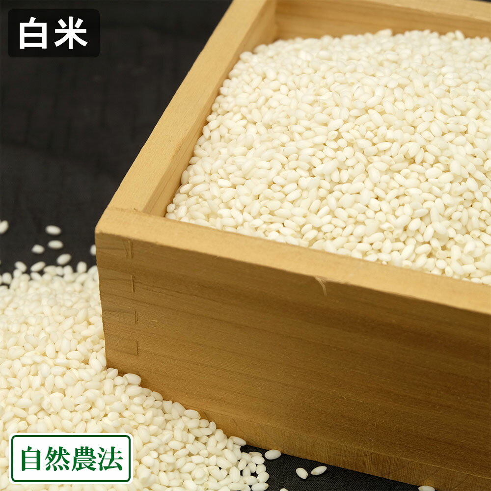 11P10ܡץȥ꡼ۡ7ǯٻۤ(ͤ)  5kg ˡ ( ƣ) ľ