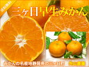 三ヶ日中生みかん(セール) 10kg(S〜2L混合)(静岡県三ヶ日町 外山農園)特別栽培 低農薬柑橘・減農薬・送料無料・産地直送・お徳用・規格外 02P10Jan15 - ふるさと21