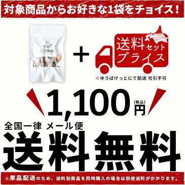 選べる税別1000円 ぽっきりセット◆北海道産 犬 おやつ 無添加 国産 ドッグフード ペット 好き 手作り エゾ 鹿 肉 鮭 サーモン ささみ アキレス カンガルー 馬 ギフト 骨 ガム サプリ 歯磨き ジャーキー