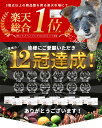 レギュラーチョイス4◆北海道産 無添加 国産 犬 猫 おやつ オヤツ ジャーキー シニア ドッグフード ペット 好き エゾ鹿 鹿肉 鮭 サーモン ささみ チキン 馬肉 カンガルー クッキー 硬い ギフト プレゼント 馬 豚 耳 2