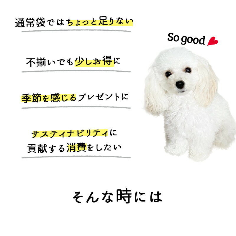 サスティナブルパック150g　ひとくちサーモン◆犬 猫 ギフト アウトレット 訳アリ 訳あり 無添加 国産 手作り 北海道産 サーモン 鮭 ジャーキー プレゼント エシカル 消費 まとめ買い ノーズワーク 知育玩具 大型犬 中型犬