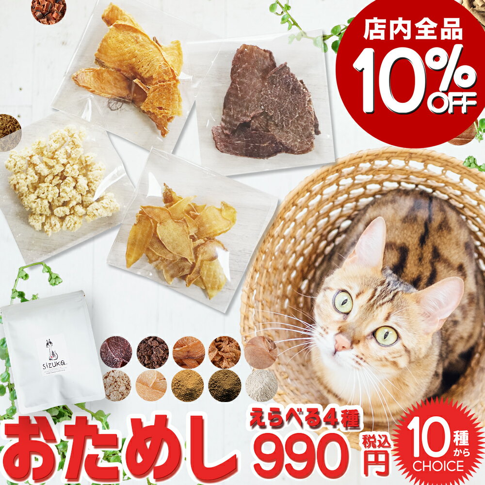 Ź10OFF12/4-12/11ۤˤˤȥ饤4̳ƻ ǭ  ̵ź  ڥå       ɥ...