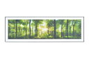 東谷 アートパネル ホワイト 東谷 AZUMAYA ワイド アートパネル 幅140×奥行4×高さ45cm 横型 海 森林 自然 景色 パネル インテリア 雑貨 おしゃれ アート フォトグラフ 絵画 装飾 横向き 絵 ART-201A(3)