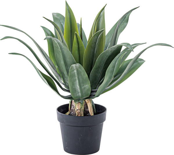 東谷 フェイクグリーン アガベ グリーン 完成品 GRN-14 グリーン GRN-14