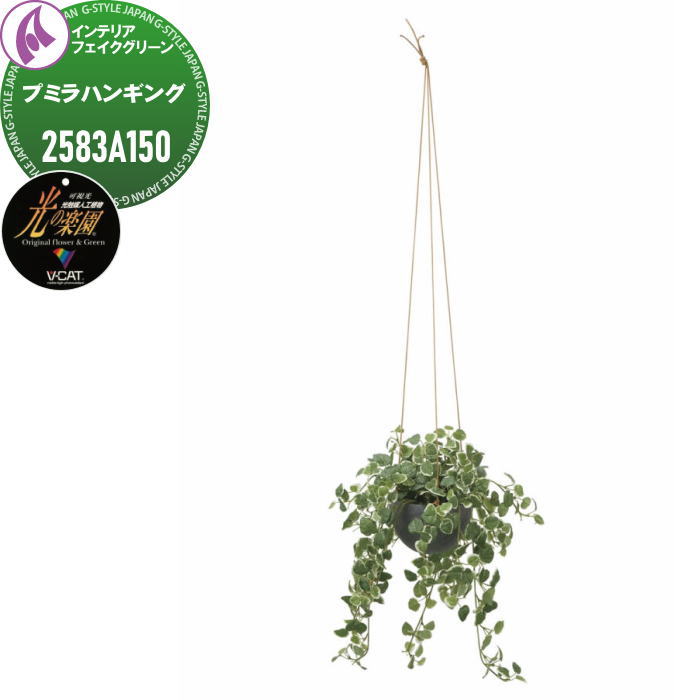 【ポイントUP中】【無料★特典対象】 光触媒人工植物 株式会社アートクリエイション インテリア フェイクグリーン スタイリッシュグリーン プミラハンギング 2583A150 光の楽園 消臭 抗菌 防汚 空気浄化 PIAJ V-CAT