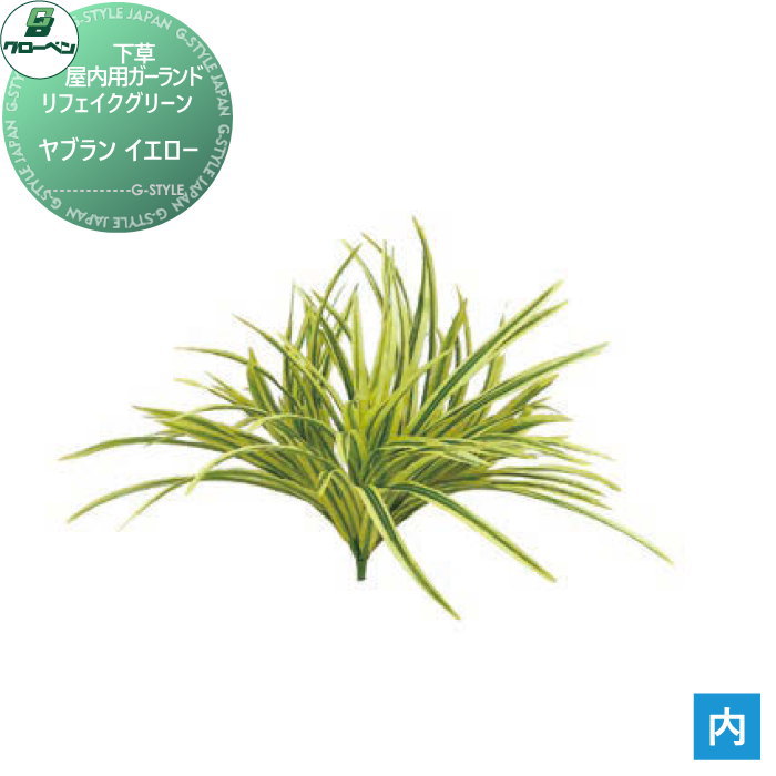 ̵ŵա ͹ʪ ٥ ե꡼ ֥󡡥 ڡѥ A70NS614 