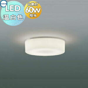   ߾ KOIZUMI ֥饱åȥ饤 AH46473L ݷ ˡ40mm 򿧡Ǯ60W