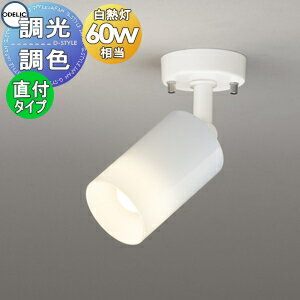   ǥå ODELIC ĴĴݥåȥ饤 OS256560BR ŵ忧 ե󥸥 磻۸ ե...