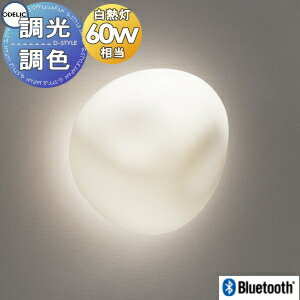   ǥå ODELIC ֥饱åȥ饤 OB255275BR  饹򥱥 Bluetoothб ŵ忧...