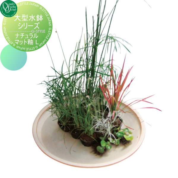 ץ󥿡 ꡼󥯥 ȭ 緿ȭL ʥޥå ӥȡ ھ    ǥ˥ ꡼ ...