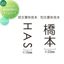 【部品】 オプション オンリーワンクラブ モデルノS用ネームシート ブラック・ホワイト・シルバーメタリック NA1-MONSS□ 単品販売不可 オンリーワン エ...