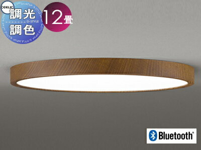   饤 ǥå ODELIC եåȥץ졼 ＼ѥ󥰥饤 OL291421BR Ĵʥåȿ ...