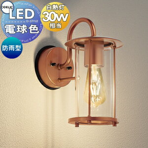 エクステリア 屋外 照明 ライト オーデリックODELIC ポーチライト OG264022LC ステンレス（銅メッキ色..