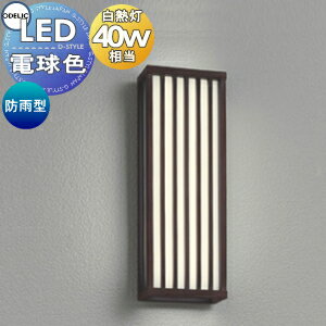 ƥꥢ   饤 ǥåODELIC ݡ饤 OG254257R ֥饱åȥ饤 ̡  ¥...
