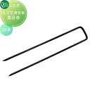 人工芝 オンリーワンクラブ オンリーワン人工芝用目串 黒目串25本 KV2-KJMP2 オンリーワン エクステリア