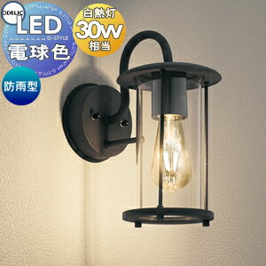 エクステリア 屋外 照明 ライト オーデリックODELIC ポーチライト OG264023LC ステンレス（黒色チヂミ..