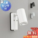 エクステリア 屋外 照明 ライト オーデリックODELIC スポットライト OG254721P1 OG254722P1 OG254723P1 OG254724P...