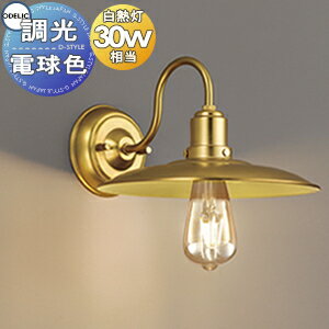   ǥå ODELIC ֥饱åȥ饤 OB255204LC ŵ忧 﫿å եȷפȿͳޤȤ...