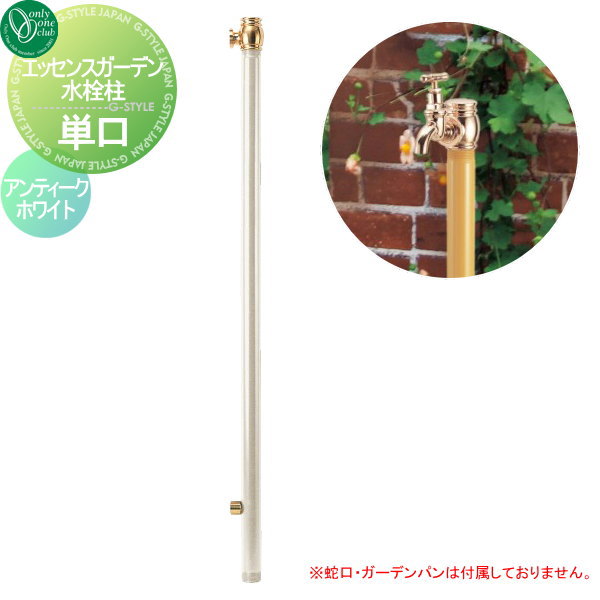 ̵ŵоݡ Ω  ꡼󥯥 å󥹥ǥ  ñ ƥۥ磻 IB3-GF327074 E...