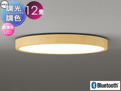   饤 ǥå ODELIC եåȥץ졼 ＼ѥ󥰥饤 OL291565BR Ĵʥ뿧 ...