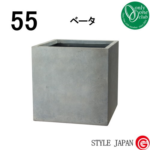 ̵ŵա ץ󥿡 ꡼󥯥 եСץ󥿡 ١ 졼 55 ۹ŵоݳ   ...