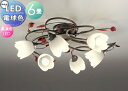 【当店厳選商品ポイントUP中】照明 おしゃれ シンプル モダン LED オーデリック ODELIC シャンデリア OC257026LR 電球色 フェミニン&シックなフローラルスタイル ~6畳