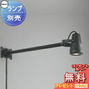 エクステリア 屋外 照明 ライト オーデリックODELIC スポットライト OG254300 看板灯 壁面取付 ランプ別売 LED