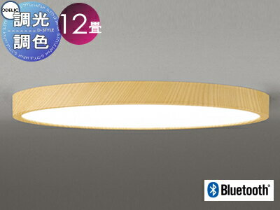   饤 ǥå ODELIC եåȥץ졼 ＼ѥ󥰥饤 OL291417BR Ĵʥ뿧 ʰ׼...