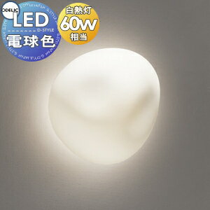   ǥå ODELIC ֥饱åȥ饤 OB255275LR  饹򥱥 ŵ忧 Ǯ60W