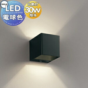   ǥå ODELIC ֥饱åȥ饤 OB255280LR ŵ忧  塼 ߥ˥ޥʥǥ Ǯ30W...