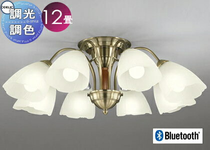   ץ  LED ǥå ODELIC ǥꥢ OC006918BR ŵ忧 饷ǥ쥬...