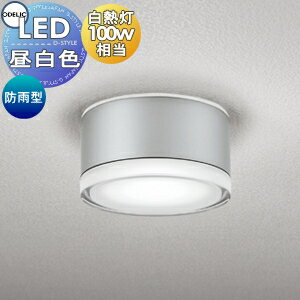 エクステリア 屋外 照明 ライト オーデリックODELIC ポーチライト OG254600NR 昼白色 白熱灯100W相当 マットシルバー 丸型 デザイン 昼白色 LED ブラケットライト ポーチライト 玄関灯 玄関照明 門柱灯