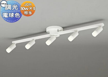   饤 ǥå ODELIC Ĵǥꥢ OC257149R ŵ忧 եۥ磻ȿ ʰ׼A LED ...