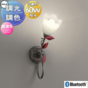   ǥå ODELIC ֥饱åȥ饤 OB255129BR ŵ忧 ݥ⥫֥饦󿧸̣ 饹...
