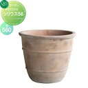 【無料★特典付】 プランター オンリーワンクラブ テラアストラ シリウス 56 送料高額購入割引特典対象外商品 植木 花壇 おしゃれ ガーデニング オンリーワン...