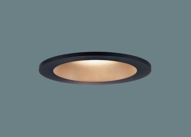   ѥʥ˥å Panasonic 饤 ꦵ100mm LGD3102LU1 ŵ忧~ ֥åĤä ...